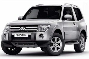 Mitsubishi DPF Removal