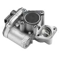 EGR Removal / EGR Delete Session
