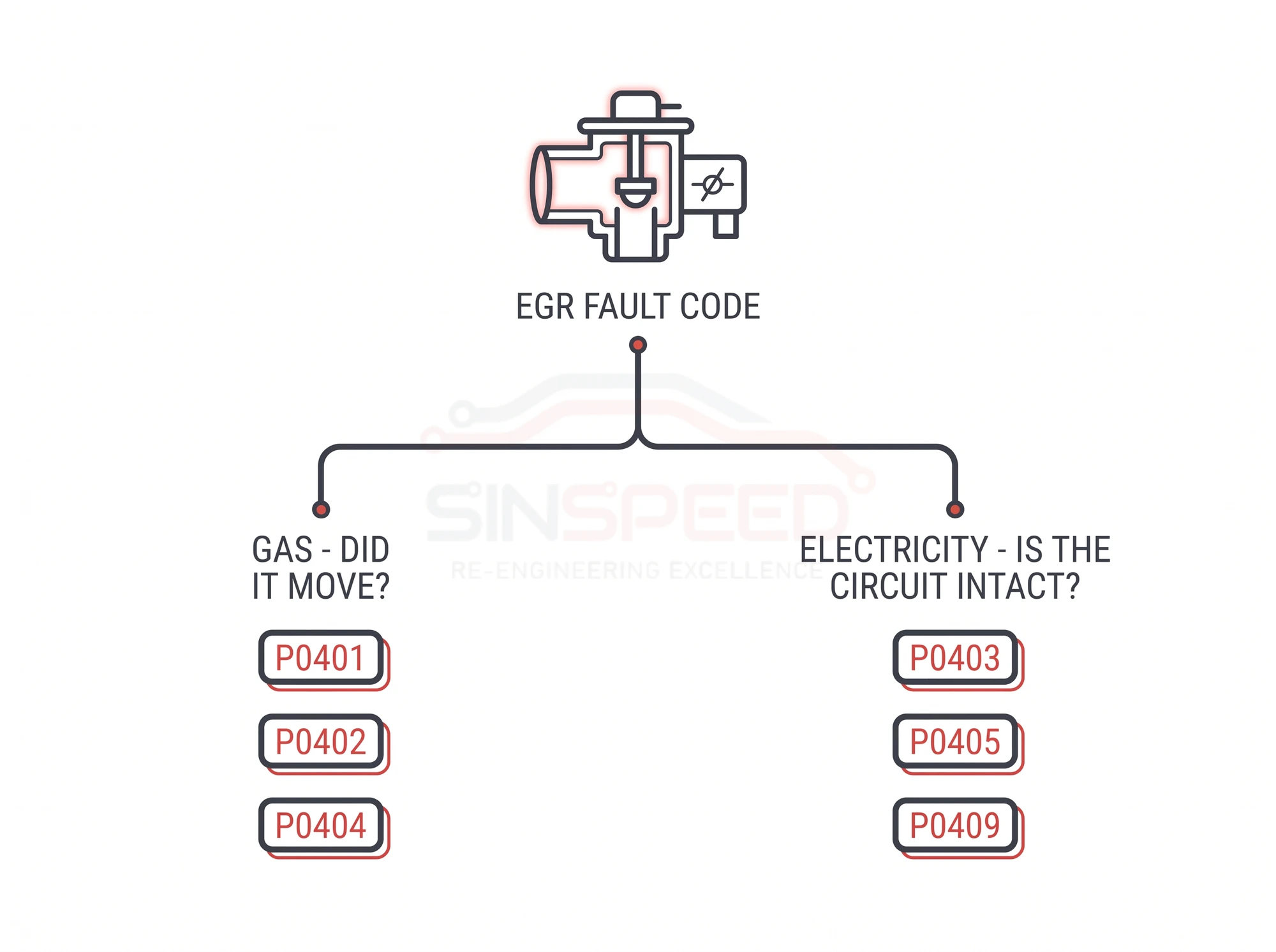 Diagram splitting the six EGR fault codes into two families: gas movement codes P0401, P0402 and P0404, against electrical circuit codes P0403, P0405 and P0409